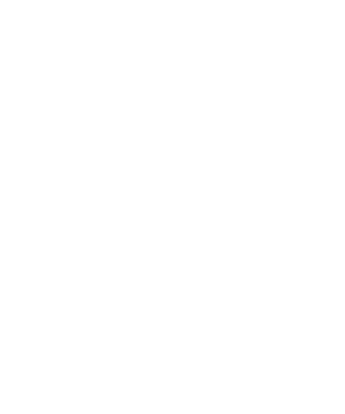 Decorative golden frame around promotional video